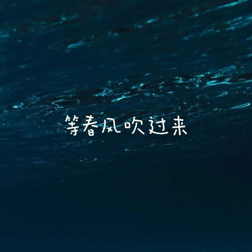 落日微笑 - '等春风吹过来' [Ringtone]