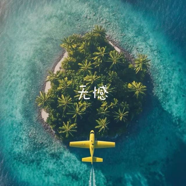 林诗曼 - '无憾' [Ringtone]