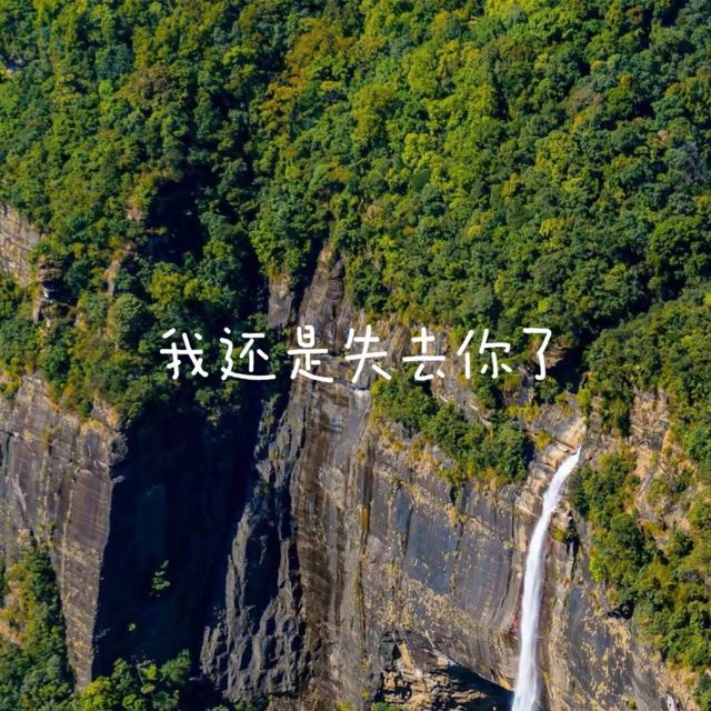 白兰滴 - '我还是失去你了' [Ringtone]