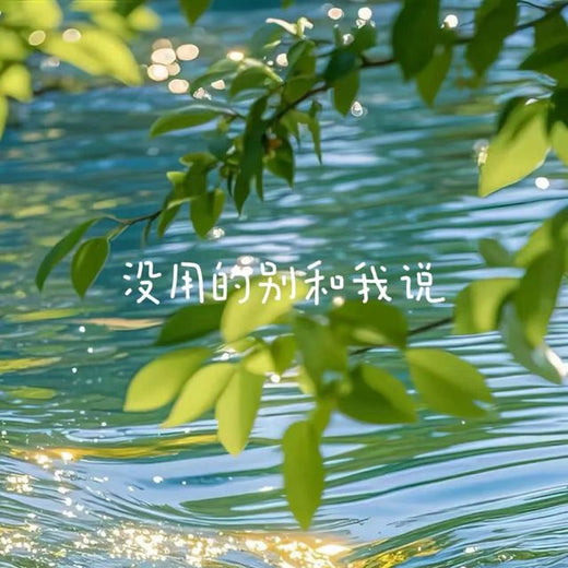 落日微笑 - '没用的别和我说' [Ringtone]