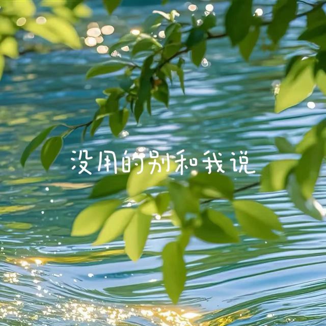 落日微笑 - '没用的别和我说' [Ringtone]