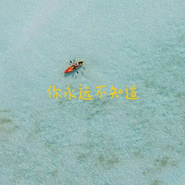 梨子芹菜 - '你永远不知道' [Ringtone]