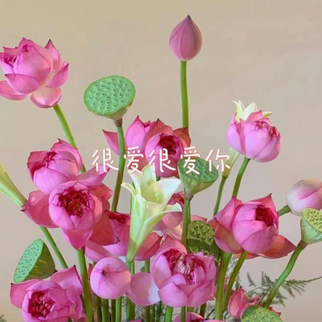 白兰滴 - '很爱很爱你' [Ringtone]