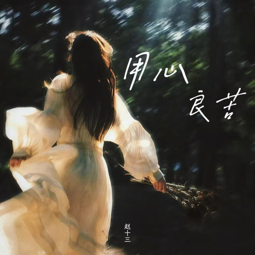 赵十三 - '用心良苦' [Ringtone]