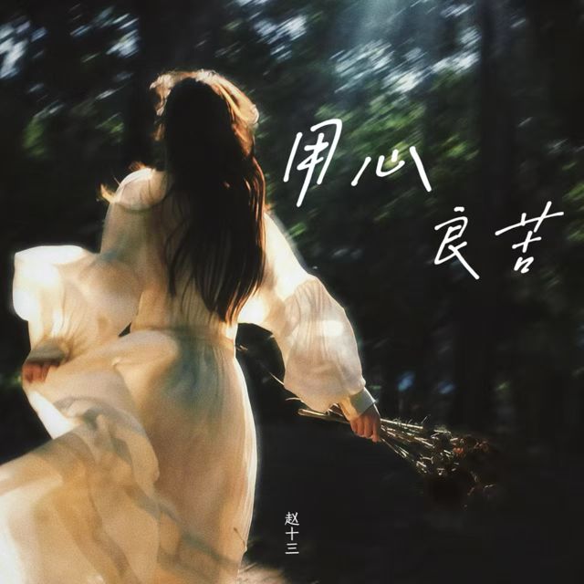 赵十三 - '用心良苦' [Ringtone]