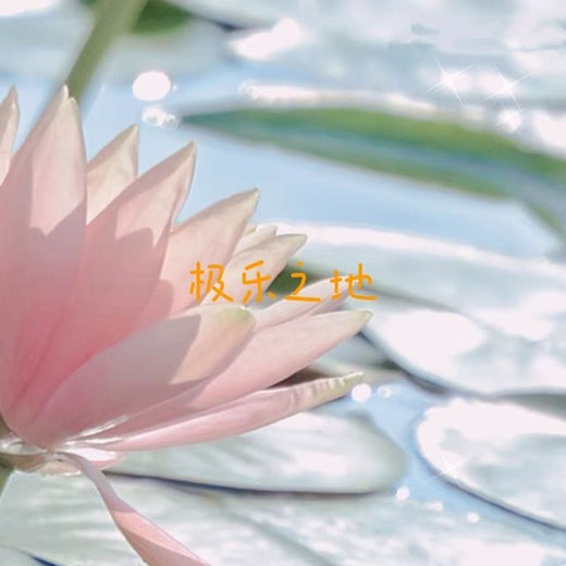 云汐 - '极乐之地' [Ringtone]