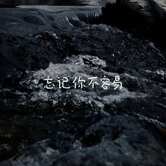 白兰滴 - '忘记你不容易' [Ringtone]