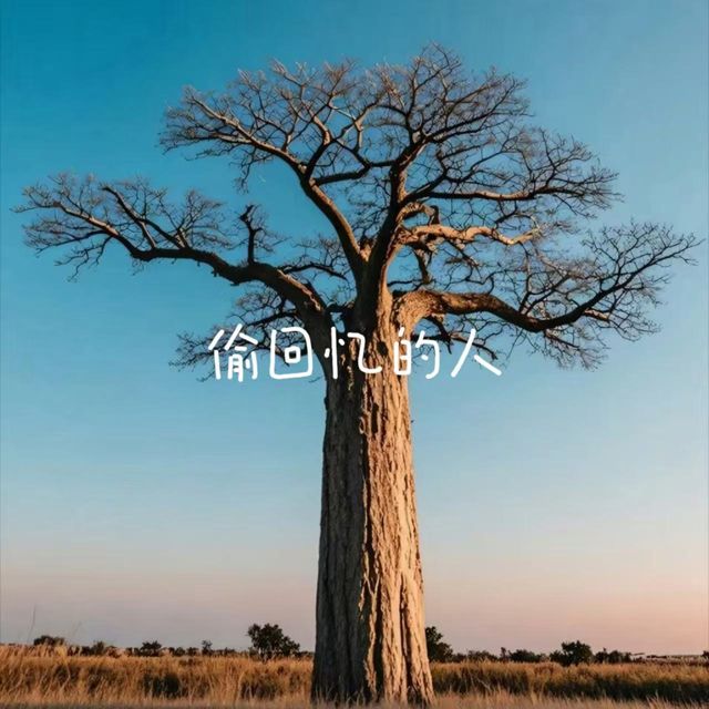烟嗓船长 - '偷回忆的人' [Ringtone]