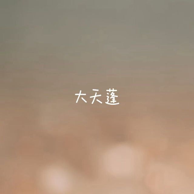 白兰滴 - '大天蓬' [Ringtone]