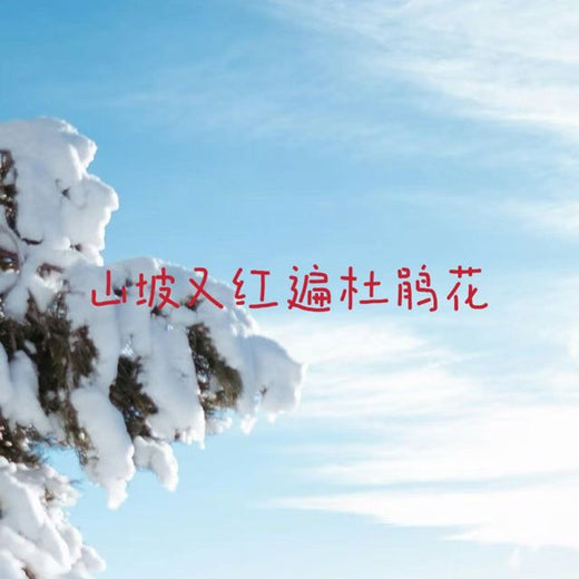 白兰滴 - '山坡又红遍杜鹃花' [Ringtone]