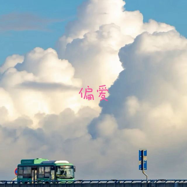 云汐 - '偏爱' [Ringtone]