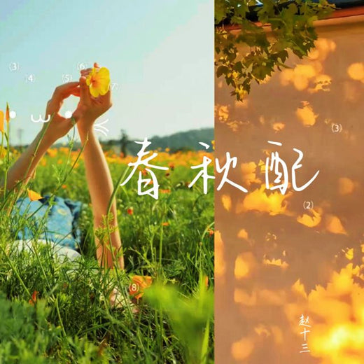 赵十三 - '春秋配' [Ringtone]