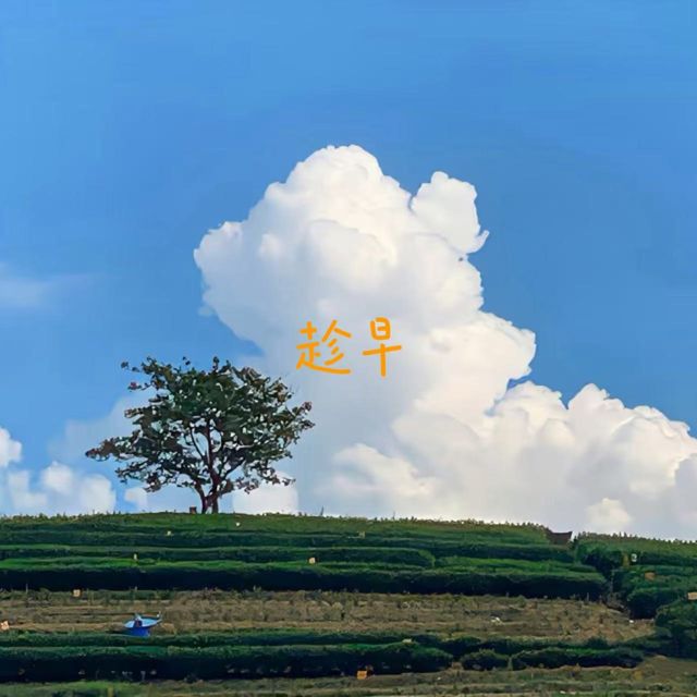 烟嗓船长 - '趁早' [Ringtone]