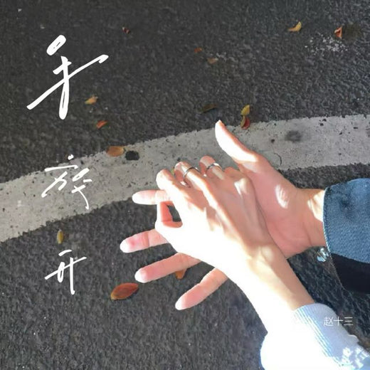赵十三 - '手放开' [Ringtone]