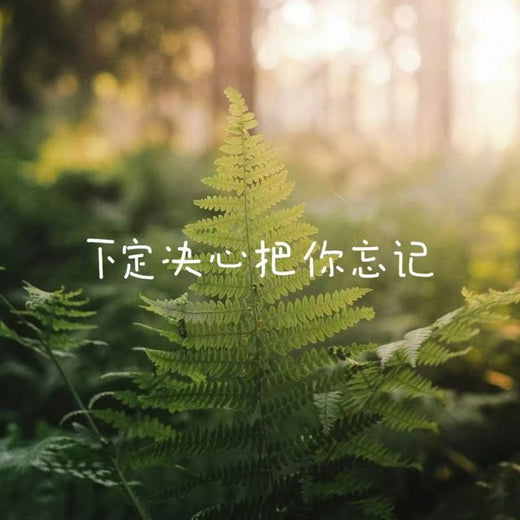白兰滴 - '下定决心把你忘记' [Ringtone]