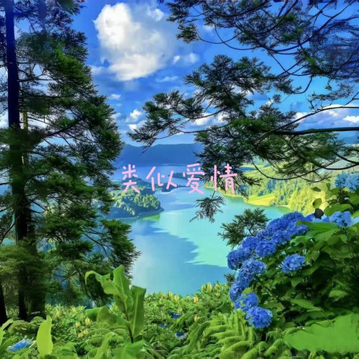 白兰滴 - '类似爱情' [Ringtone]