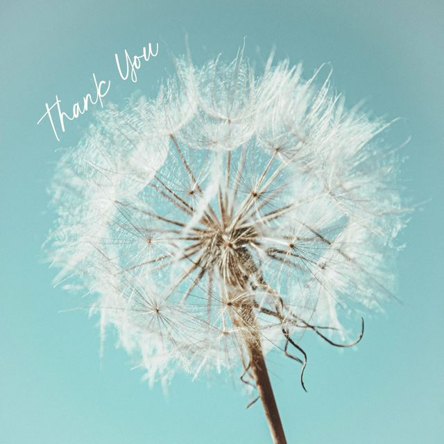 RUBY CHASE - 'THANK YOU (feat. Ray Emmanuel & Gazzo)' [Ringtone]