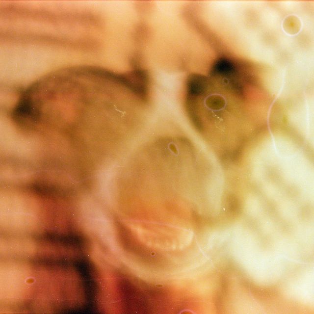 Sally Rose - 'Trash Heap Mountain Treasure Baby (feat. Sasha Landon & Teddy Chipouras)' [Ringtone]