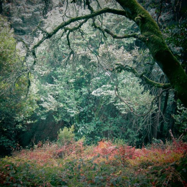 saturnsays - 'hypnagogia' [Ringtone]