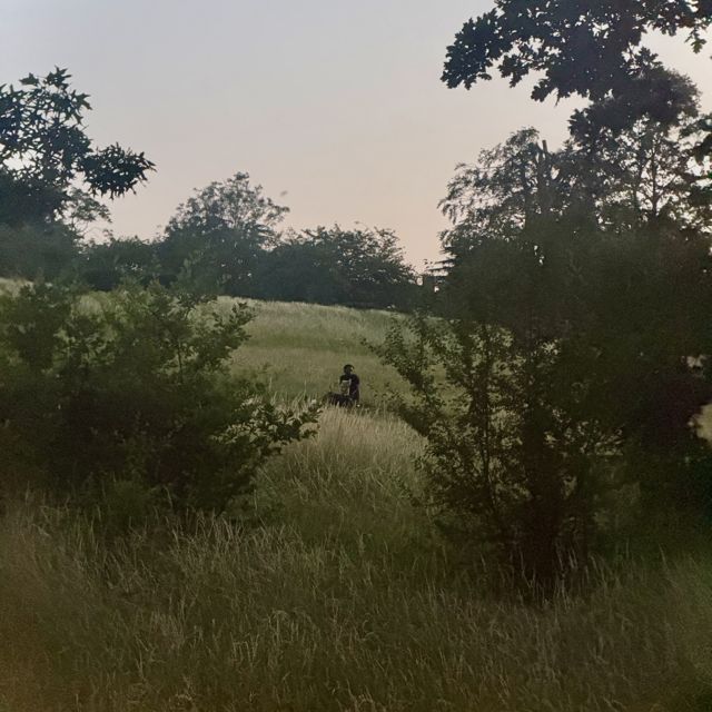 Seagulls - 'Hold me as I Cry (feat. Dandelions)' [Ringtone]