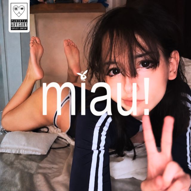Sebastian Muzk - 'miau! (feat. Punki Cat)' [Ringtone]