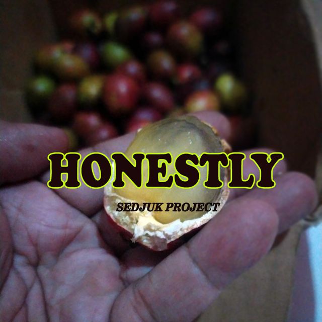 Sedjuk Project - 'Honestly' [Ringtone]