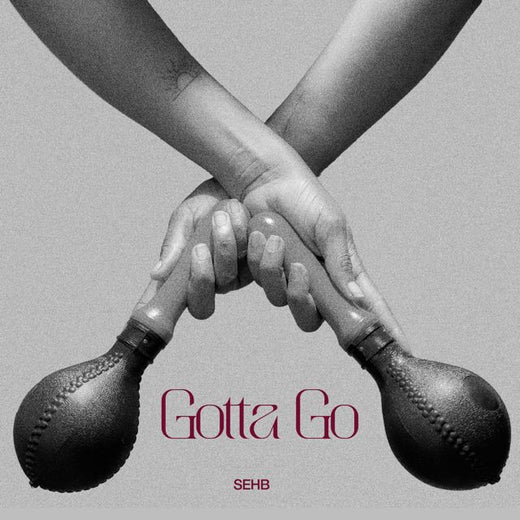 SEHB - 'Gotta Go' [Ringtone]