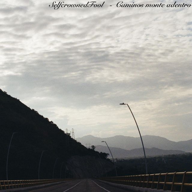 Selfcrownedfool - 'Constellations of atoms and shit (feat. Omidrums)' [Ringtone]
