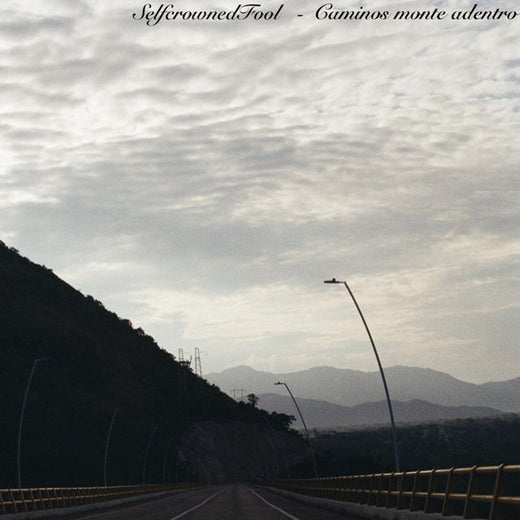 Selfcrownedfool - 'The Days We Wake Up To' [Ringtone]