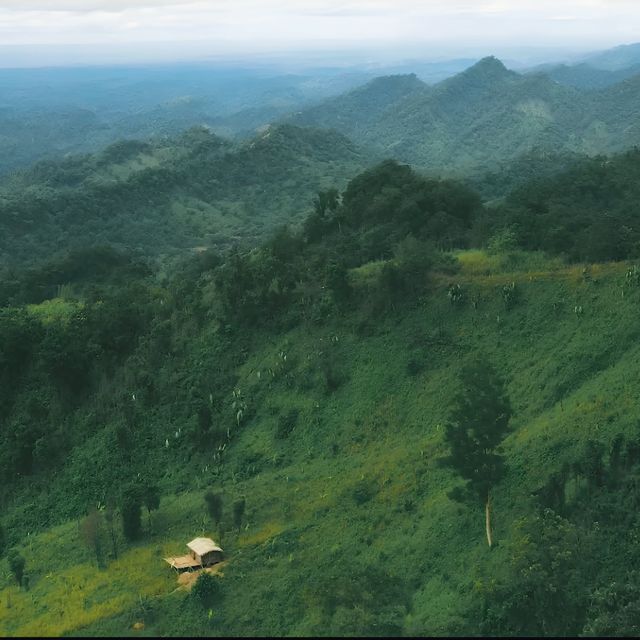 Shahrin Shahriar - 'Mountain Meadow (feat. Mamunur Rashid)' [Ringtone]