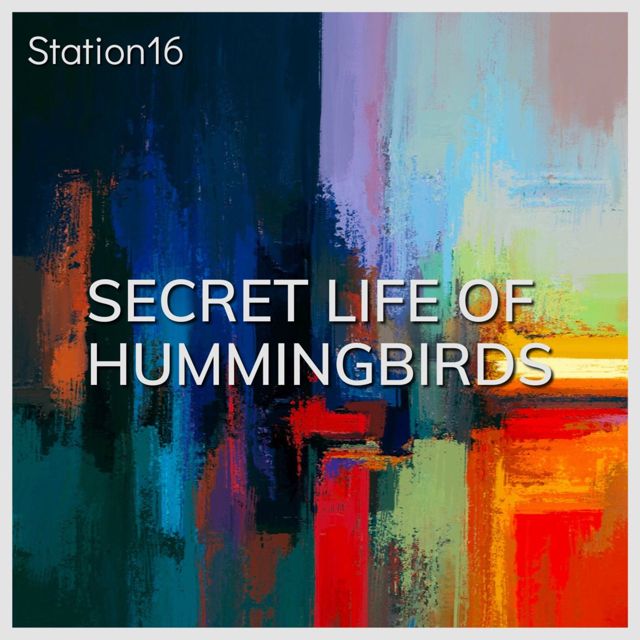 Station 16 - 'Secret Life of Hummingbirds' [Ringtone]