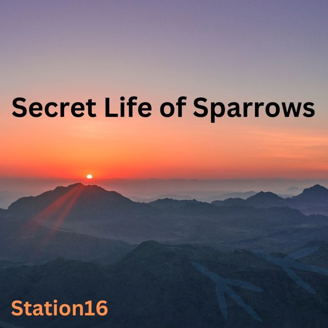 Station 16 - 'Secret Life of Sparrows' [Ringtone]