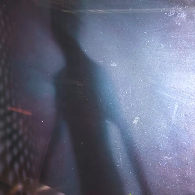 STS9 - 'Soul Slap' [Ringtone]