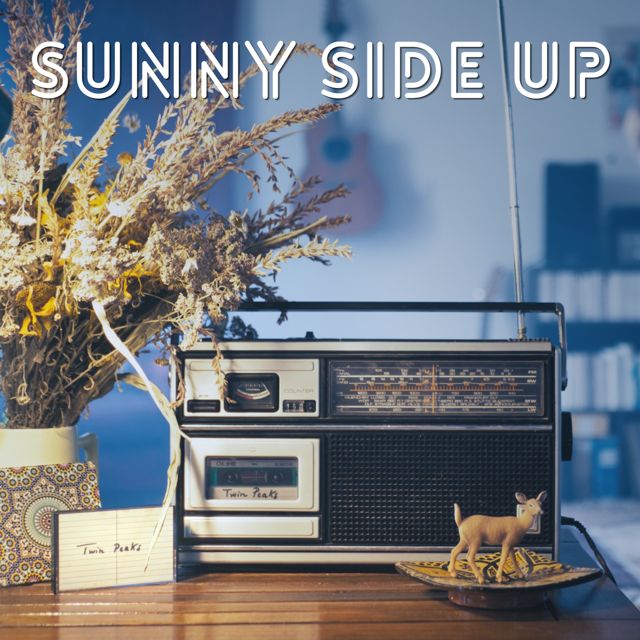 Sunny Side Up - 'Lonely By The Moon' [Ringtone]
