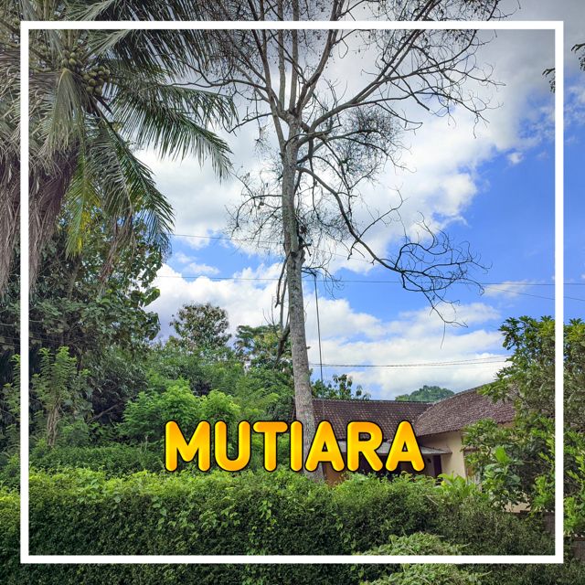 Syahrul - 'Mutiara' [Ringtone]