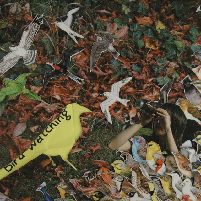 telekura - 'bird watching' [Ringtone]