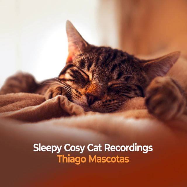 Thiago Mascotas - 'Pads Soft' [Ringtone]