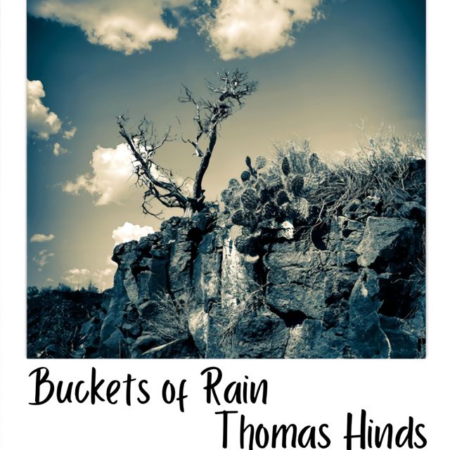Thomas Hinds - 'Buckets of Rain' [Ringtone]