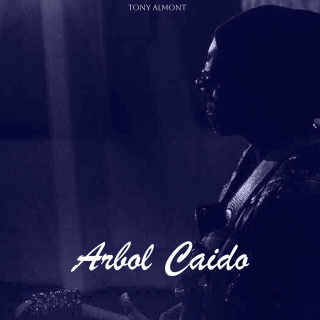 Tony Almont - 'Árbol Caído' [Ringtone]