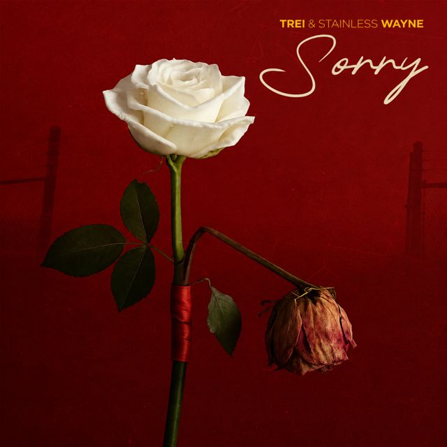 Trei - 'Sorry (feat. Stainless Wayne)' [Ringtone]