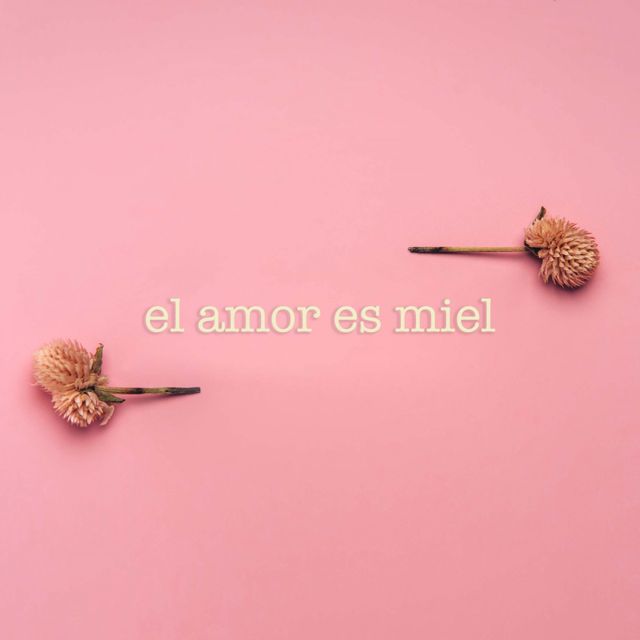 Trío Alvarado - 'El amor es miel' [Ringtone]