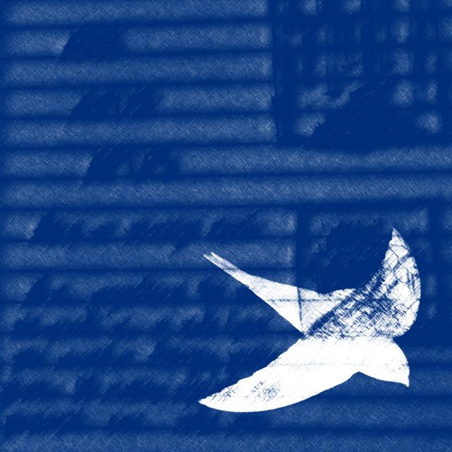 Vicci - 'AVE DE PASO' [Ringtone]