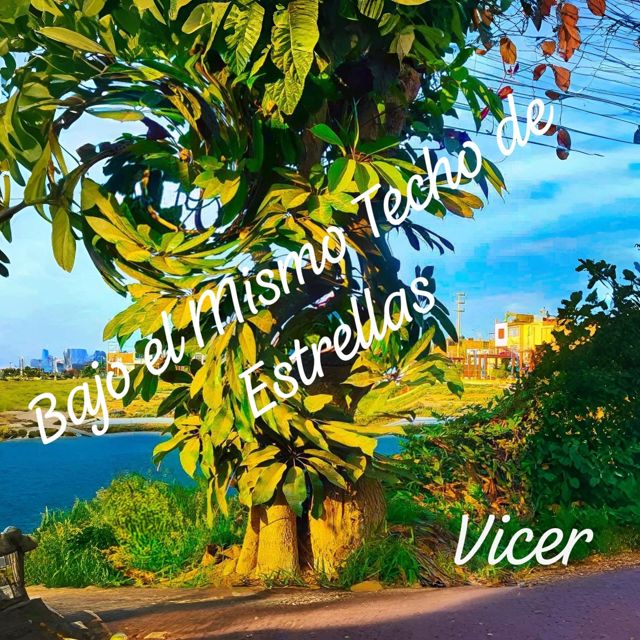 Vicer - 'Bajo el Mismo Techo de Estrellas' [Ringtone]