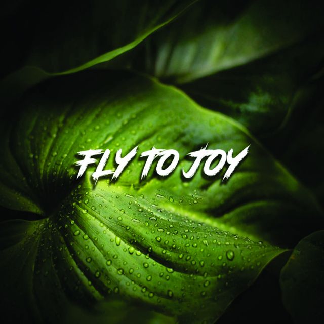 VIGIL SOVY - 'Fly To Joy' [Ringtone]
