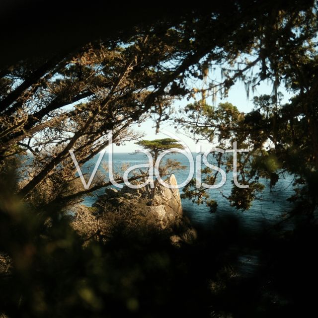 Vladist - 'Harmonics (Slowed x Reverb)' [Ringtone]