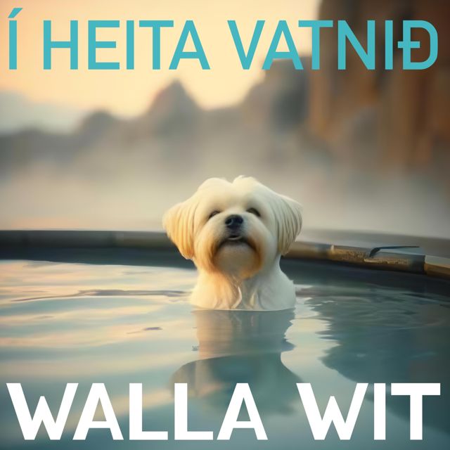 Walla Wit - 'Í Heita Vatnið' [Ringtone]