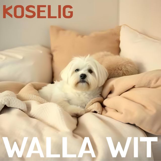 Walla Wit - 'Koselig' [Ringtone]