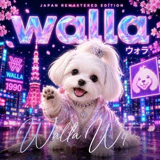 Walla Wit - 'レイン✦カクドロル' [Ringtone]