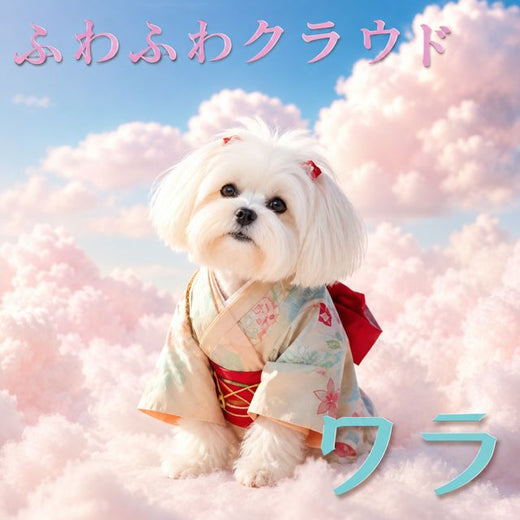 Walla Wit - 'ホイップクリームディスコ!' [Ringtone]