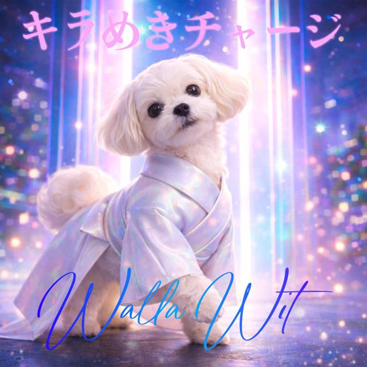 Walla Wit - 'フルムーン・ループ' [Ringtone]